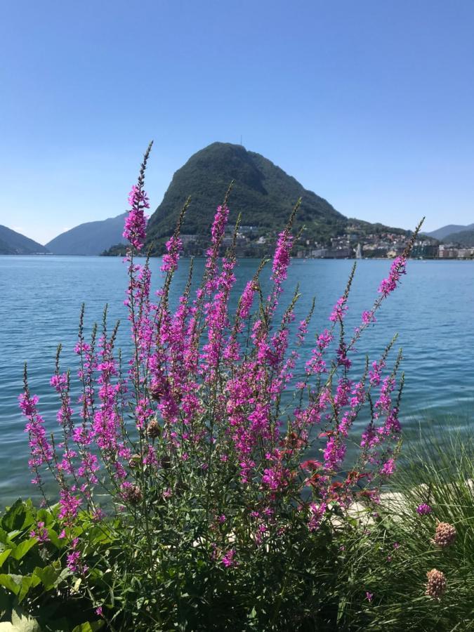 Connie S Home Free Parking Lugano Zewnętrze zdjęcie